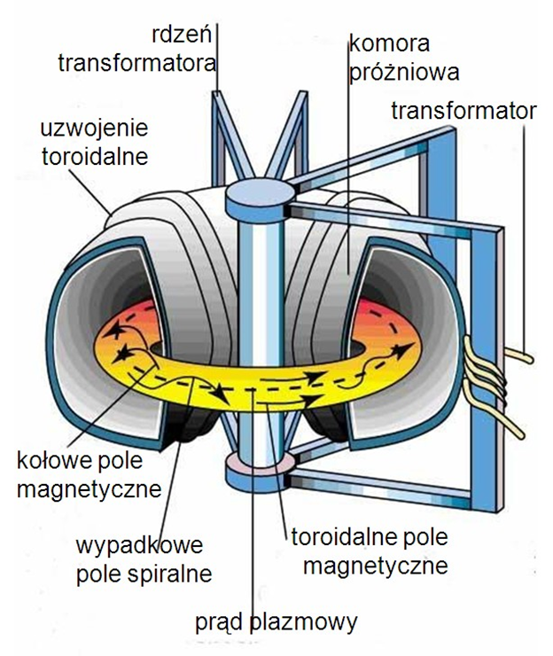 Schemat reaktora termojądrowego typu „Tokamak”