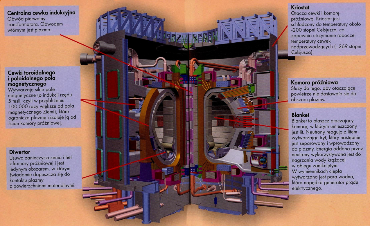 Schemat reaktora termojądrowego ITER