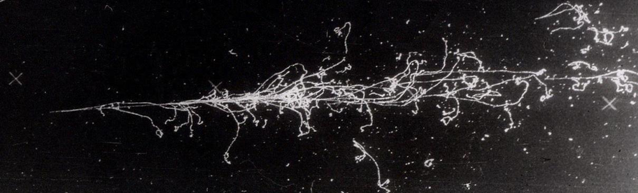 Fotografia komory pęcherzykowej wypełnionej ciekłym ksenonem z kaskadą fotonowo-elektronową