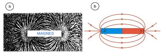 a) zdjęcie opiłków żelaznych układających się wzdłuż linii sił pola magnetycznego, b) linie pola magnetycznego