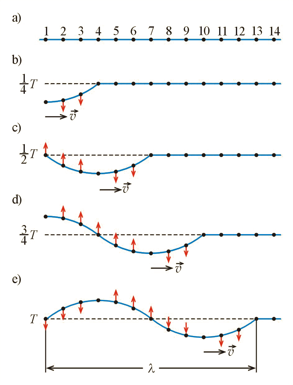 Oddziaływanie cząstek odkształcanych harmonicznie powoduje powstanie fali harmonicznej