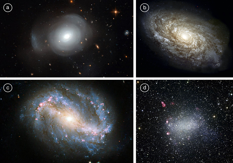 Przykłady galaktyk różnych typów (NASA)