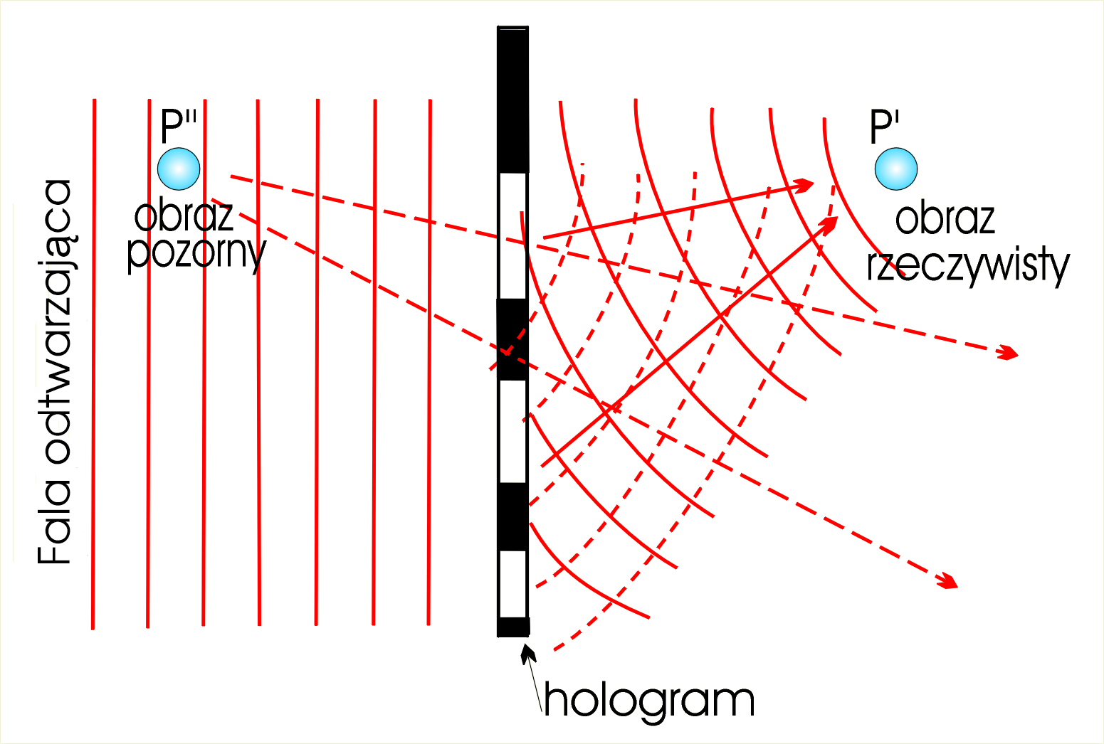Schemat odtwarzania powierzchni falowej w holografii