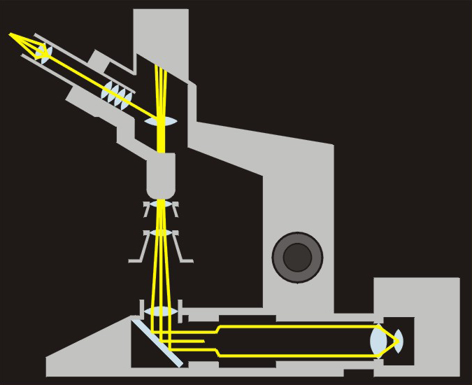 Układ optyczny klasycznego mikroskopu
